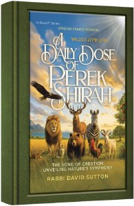 Picture of A Daily Dose of Perek Shirah Deluxe Edition Lucite Cover